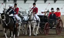 Melbourne City Loses Horse-Drawn Carriages