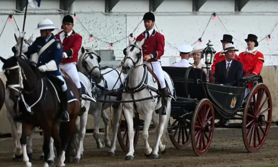 Melbourne City Loses Horse-Drawn Carriages