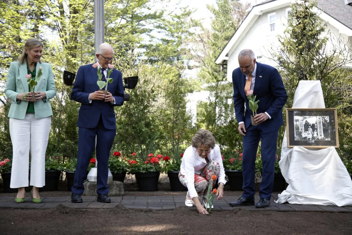 Princess Margriet of the Netherlands plants tulips with her husband Pieter van Vollenhoven, second from left, Ambassador of the Netherlands to Canada Ines Coppoolse, left, and National Capital Commission CEO Tobi Nussbaum, right, at Stornoway in Ottawa, May 12, 2022. (The Canadian Press/David Kawai)