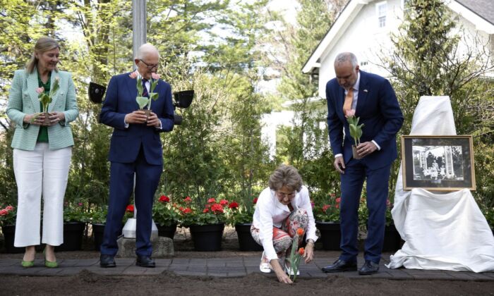 Princess Margriet of the Netherlands plants tulips with her husband Pieter van Vollenhoven, second from left, Ambassador of the Netherlands to Canada Ines Coppoolse, left, and National Capital Commission CEO Tobi Nussbaum, right, at Stornoway in Ottawa, May 12, 2022. (The Canadian Press/David Kawai)