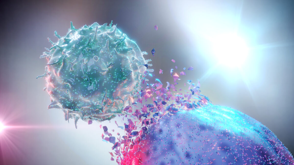 NK-cell destroys a cancer cell. By Alpha Tauri 3D Graphics/Shutterstock