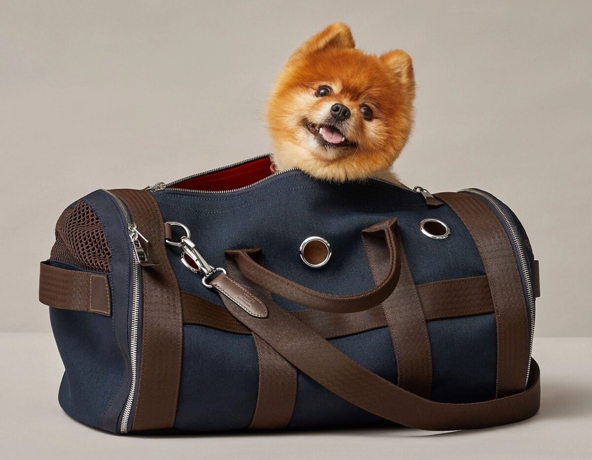 Our pets provide nonstop, unconditional love, so it’s OK to spoil them a bit. (Courtesy of Hermes)
