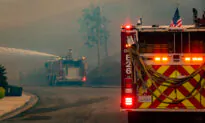 La Mesa Fire Kills Dog, Destroys Apartment, Damages 3 Others