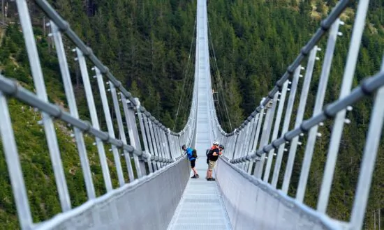 Longest Pedestrian Suspension Bridge Opens in Czech Resort