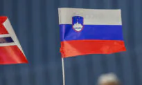 5 Feared Dead After Chemical Plant Explosion in Slovenia