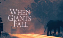 When Giants Fall | Documentary