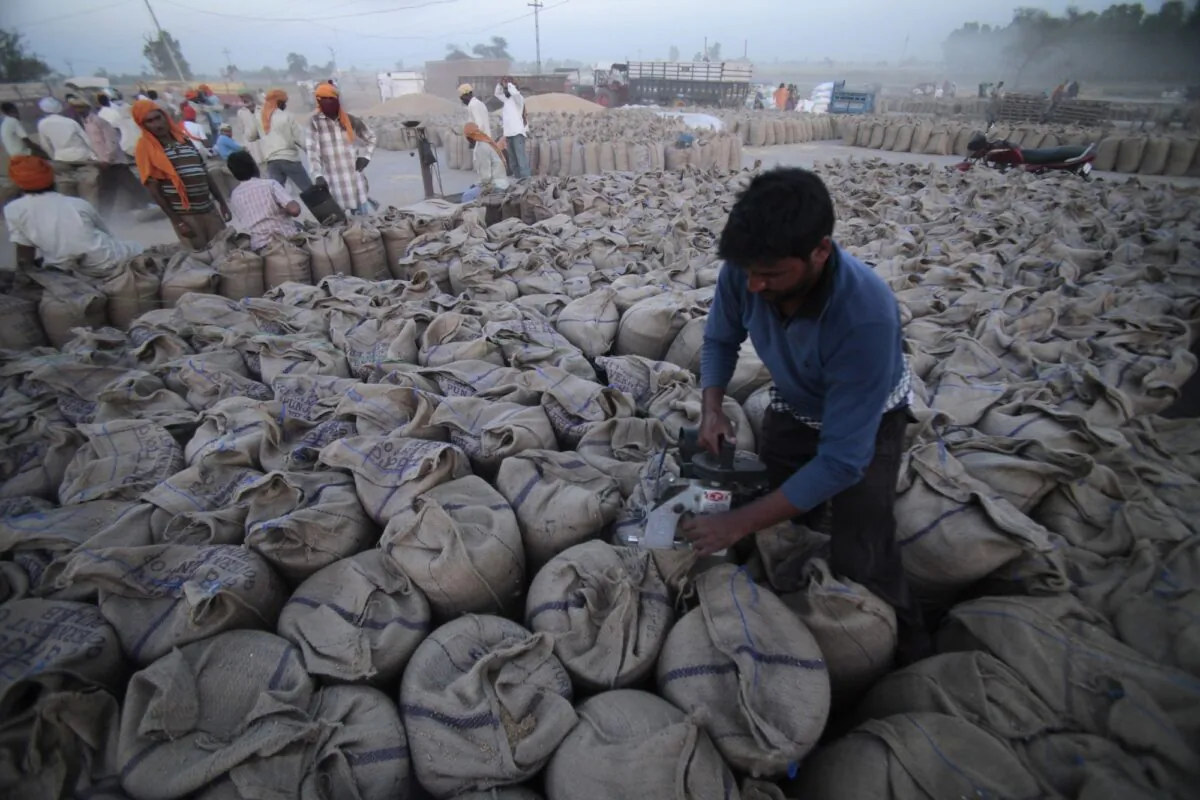 A worker seals sacks filled with wheat in Gurdaspur, India, on April 30, 2014. (Channi Anand, File/AP Photo)