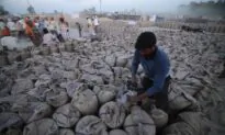 India Bans Wheat Exports Over Food Security Concerns