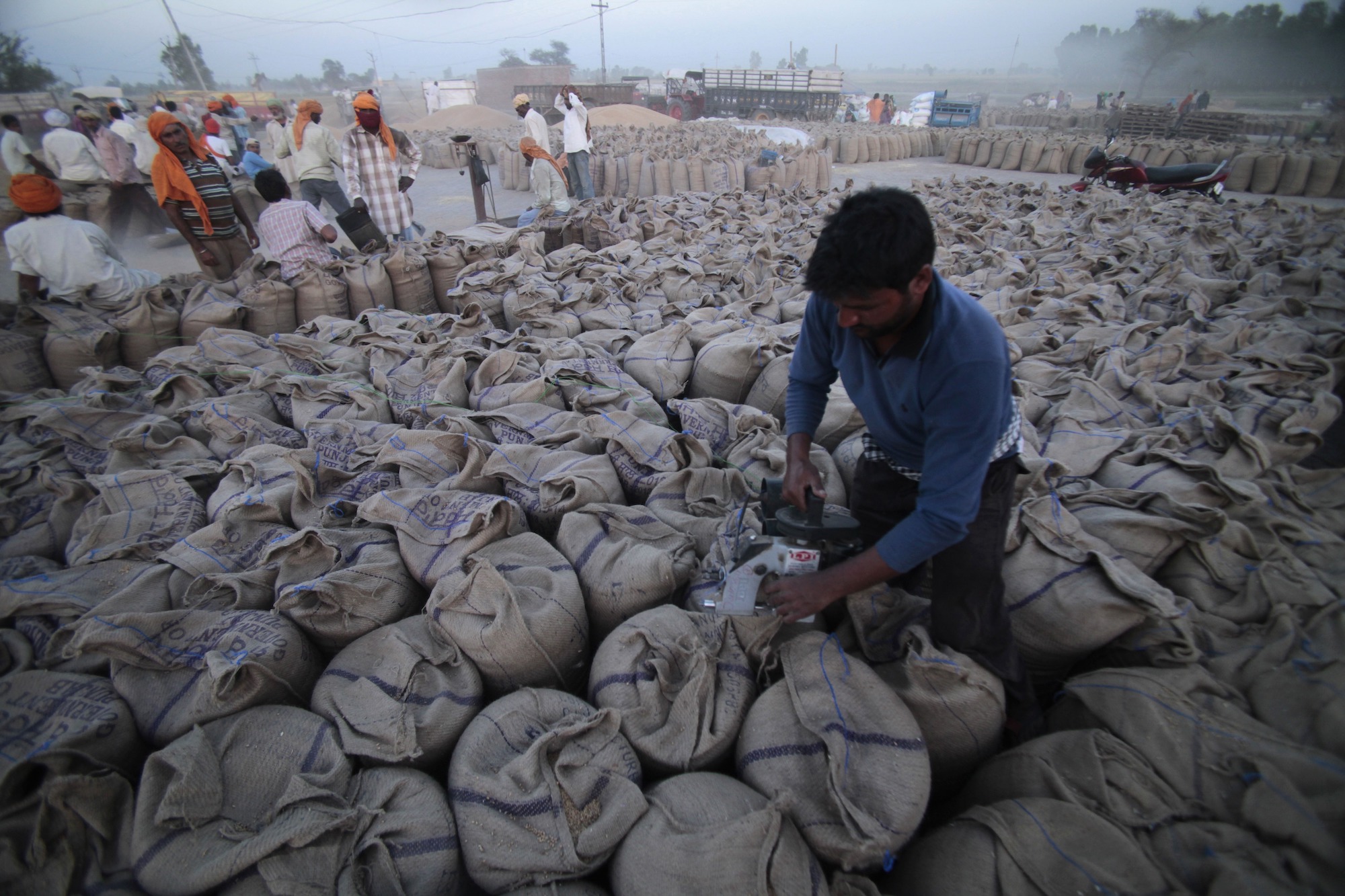 India Bans Wheat Exports Over Food Security Concerns - Vimarsana News