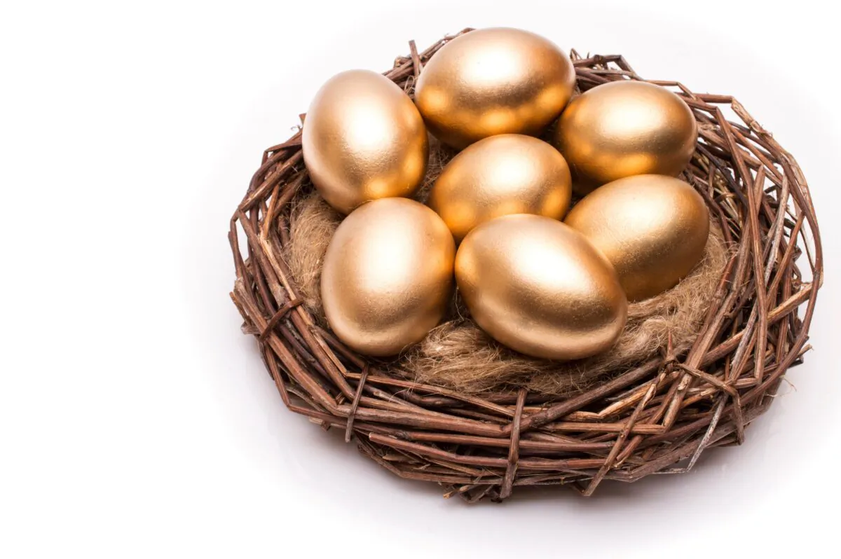 Start to save your nest eggs for your retirement in 20s, you will be a millionaire when you retire. (Cherry blossom/ShutterStock)