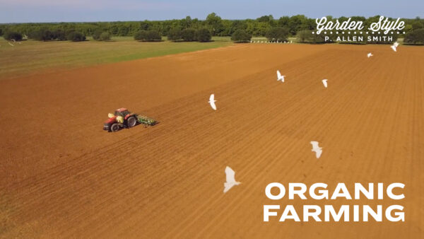 Organic Farming | P. Allen Smith Garden Style