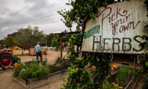 The War on Farming