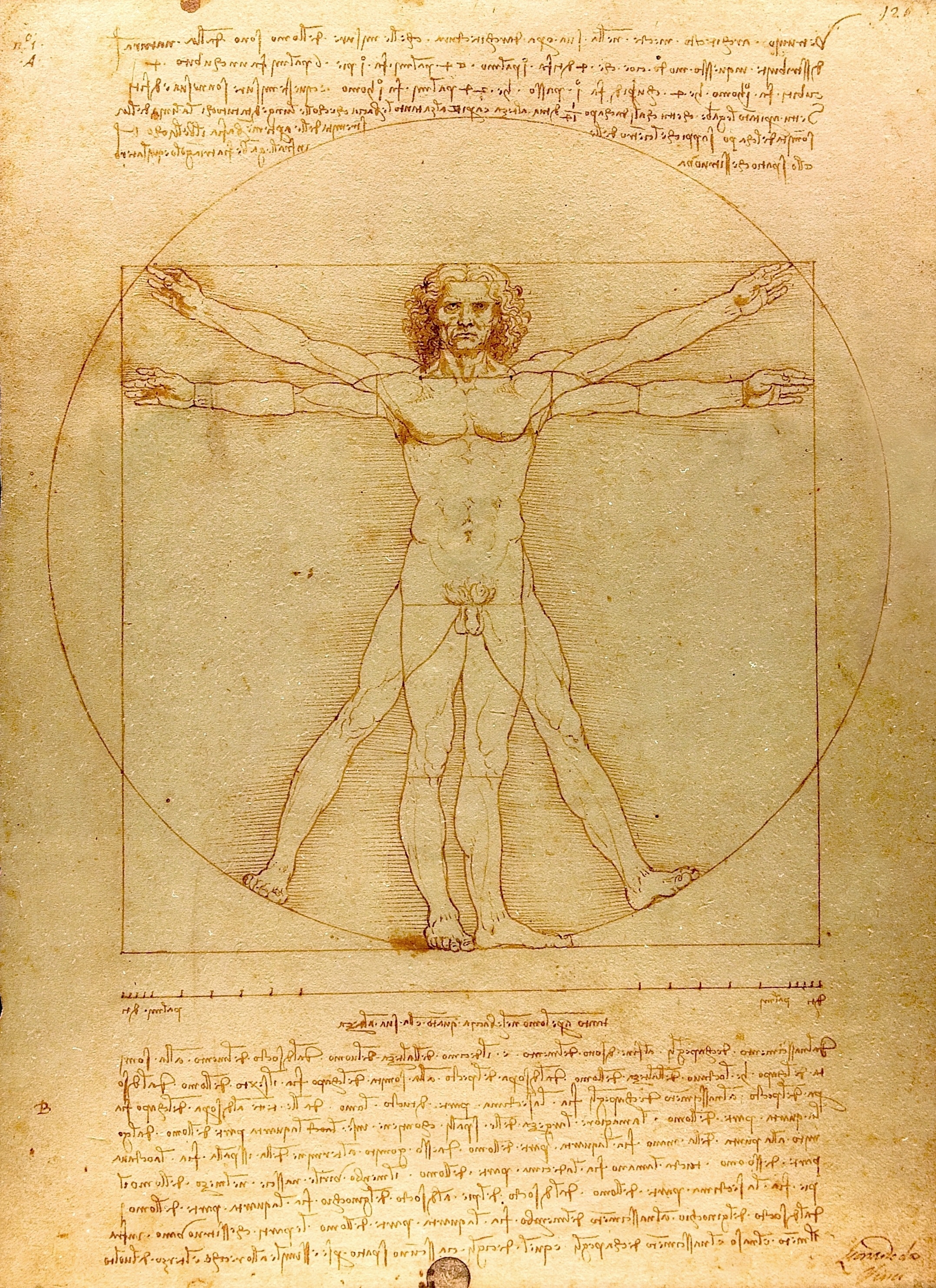“Vitruvian Man,” circa 1492 by Leonardo da Vinci. Ink and Wash on Paper. Gallerie dell’Accademia. (Photographer: Luc Viatour)