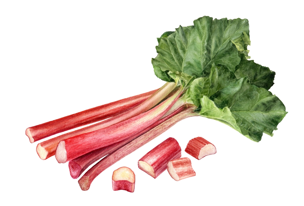 Tart, juicy rhubarb has a host of savory uses in addition to the more familiar sweet ones. (cosmicanna/Shutterstock)