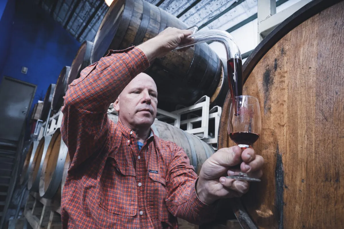Chautauqua Vineyards uses Noble and Carlos grapes that are native to the region. (Michael Spooneybarger for American Essence)