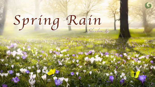 Rain Falls Gently as the Wind Blows Softly in the Air | Musical Moments