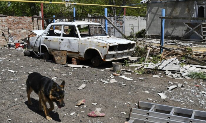 A dog walks past a damaged car in a yard of a house destroyed by Russian shelling in Toretsk, Donetsk region, Ukraine, May 16, 2022. (The Canadian Press/AP-Andriy Andriyenko)
