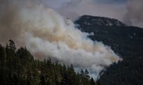A Report Into Lytton, BC, Wildfire Suggests More Community Fireproofing Needed