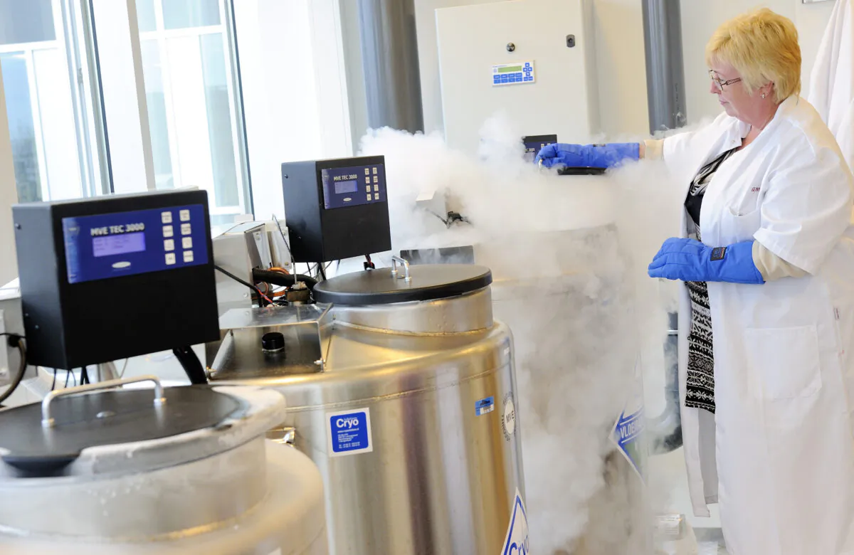 A technician opens a vessel containing women's frozen egg cells in Amsterdam, the Netherlands, on April 6, 2011. (Lex Van Lieshout/AFP via Getty Images)