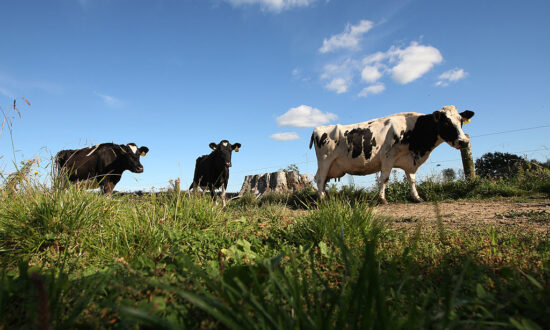 New Zealand Emissions Reduction Funding for Agriculture Paid by Other Sectors
