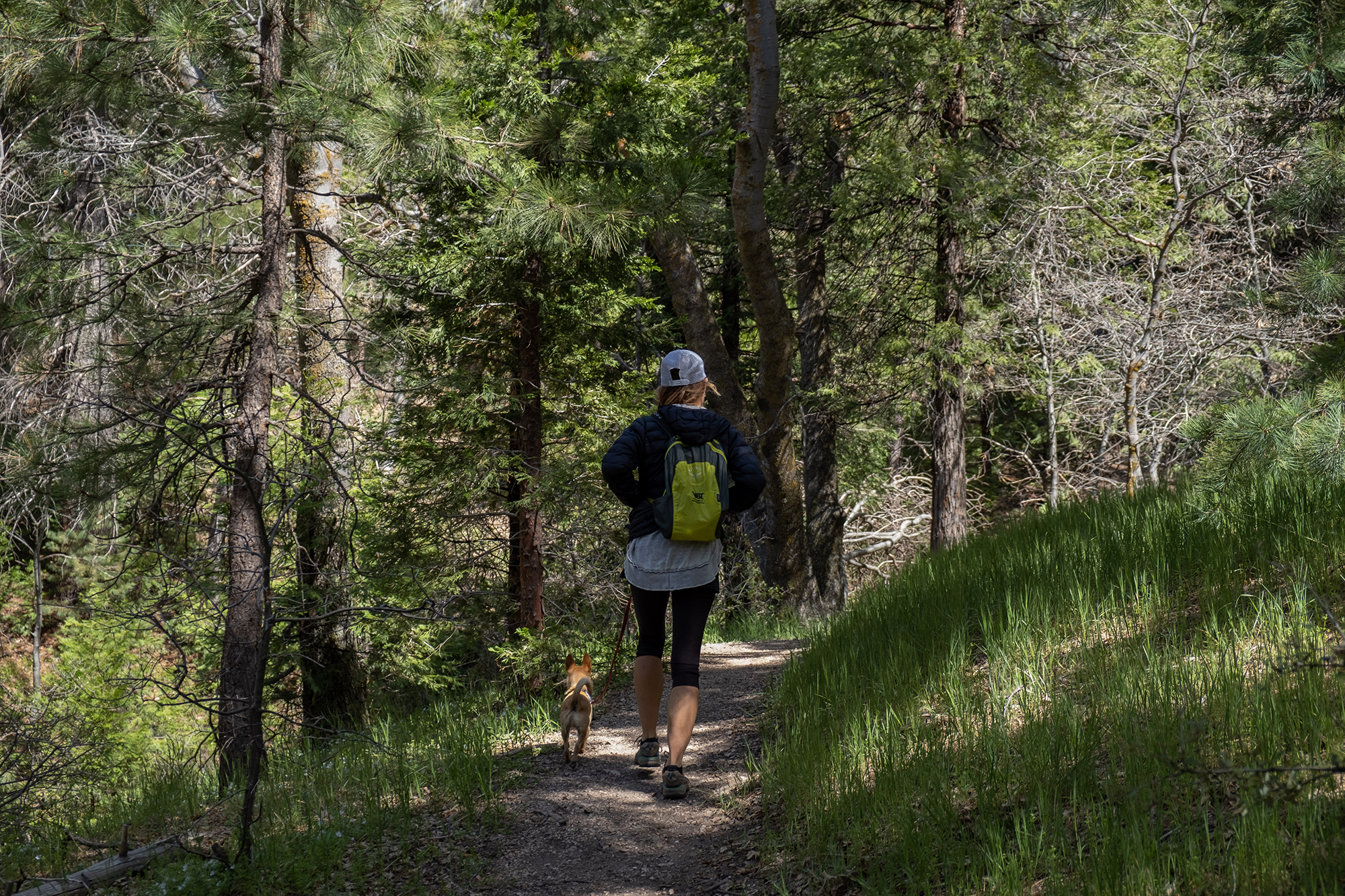 TJ living his best life on hikes around Lake Arrowhead.