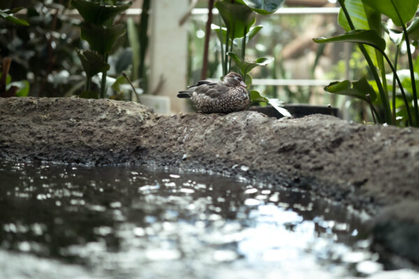 Epoch Times Photo