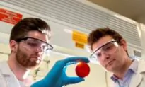 Australian Chemists Develop Way to Extract Mercury from Water Using Waste Material