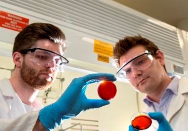 Dr Max Worthington, left, in the Chalker Lab. (Provided by Flinders University)