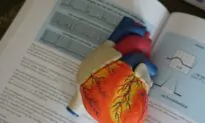 Heart Failure: Main Causes, Early Symptoms, and Prevention