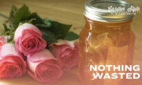 Nothing Wasted | P. Allen Smith Garden Style