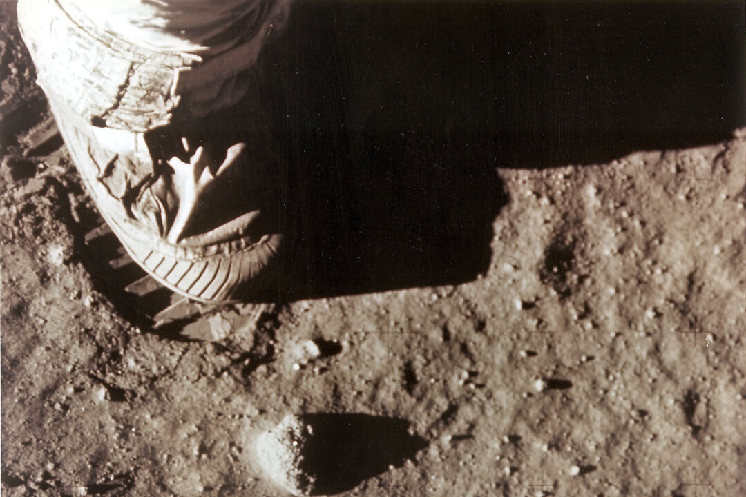 Scientists Grow Edible Plants in Moon Soil