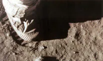 Scientists Grow Edible Plants in Moon Soil