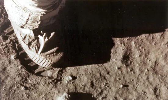 Scientists Grow Edible Plants in Moon Soil