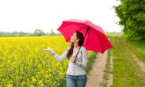 Becoming Weatherwise: A Beginner’s Guide to Learning to Predict the Weather