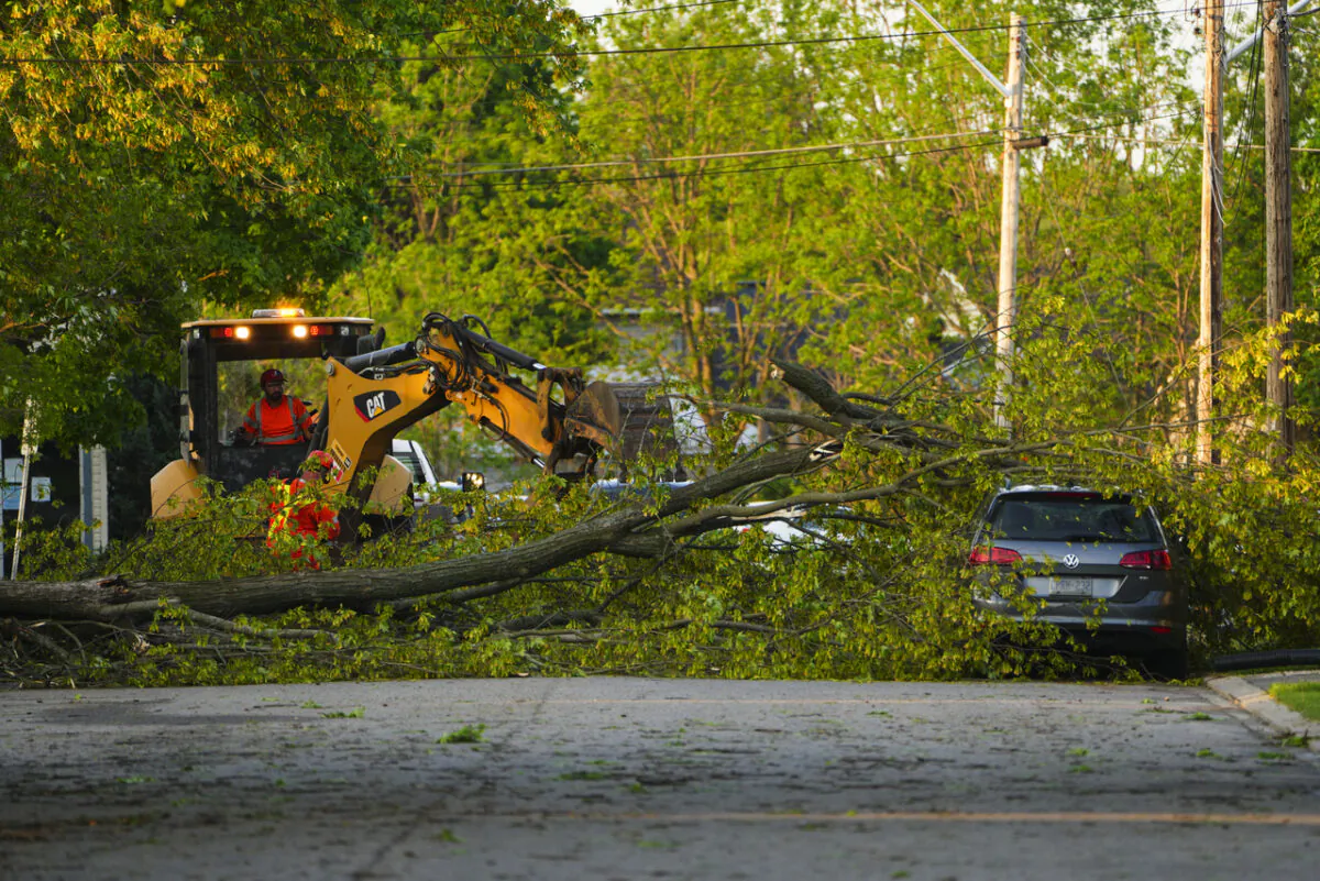 Crews remove a tree from a car following  a major storm in Carleton Place, Ont. on May 21, 2022. (The Canadian Press/Sean Kilpatrick)