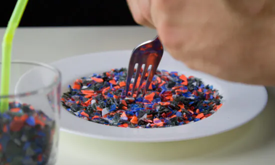 The True Cost of Our Addiction to Plastic