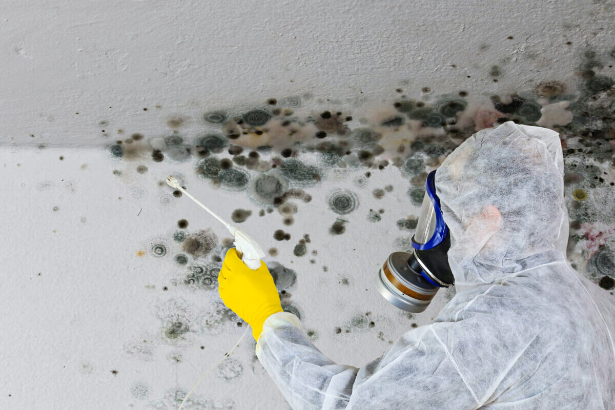 Molds and bacteria that grow in water-damaged buildings produce toxins that affect our health. Once discovered a thorough cleaning needs to be done before it can be considered safe. (riopatuca/Shutterstock)
