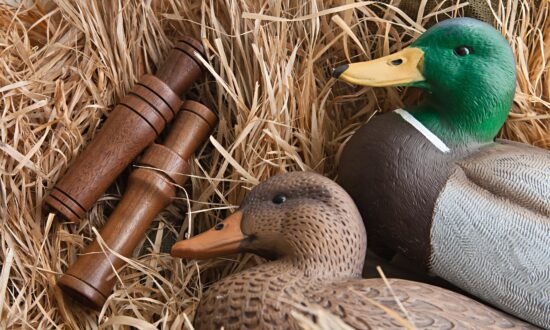 The Fascinating History Behind Hunting Decoys, An American Folk Art Form