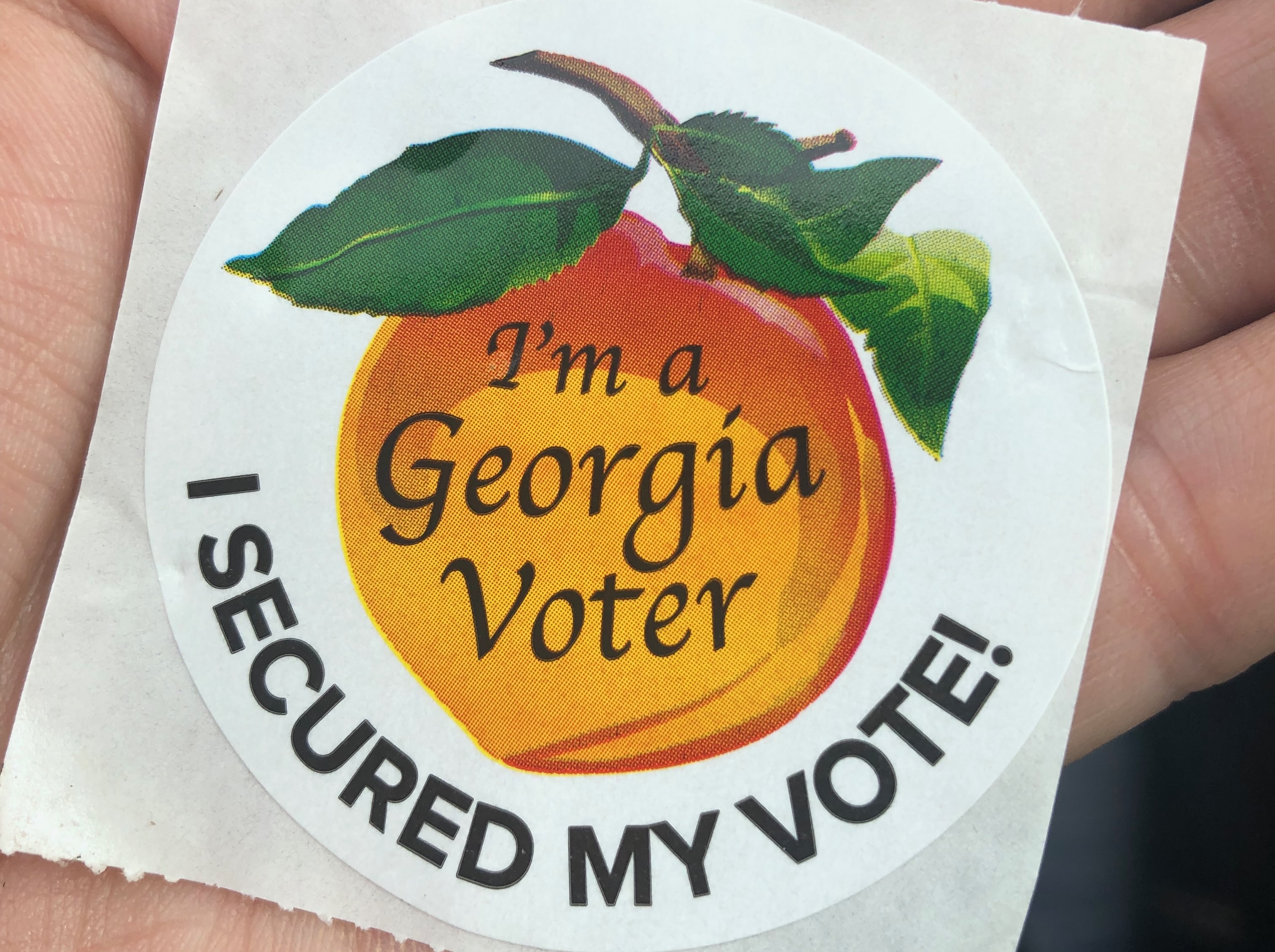 Georgia Voters Experience Few Lines, Express Bipartisan Skepticism on Election Fairness - Vimarsana News