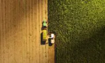 Farmers’ Fight for ‘Right to Repair’ Own Equipment Builds as More States Advance Supporting Legislation