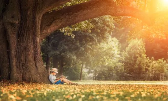 How Teaching Phonics and Fostering an Early Love for Reading Can Guide Kids to Success