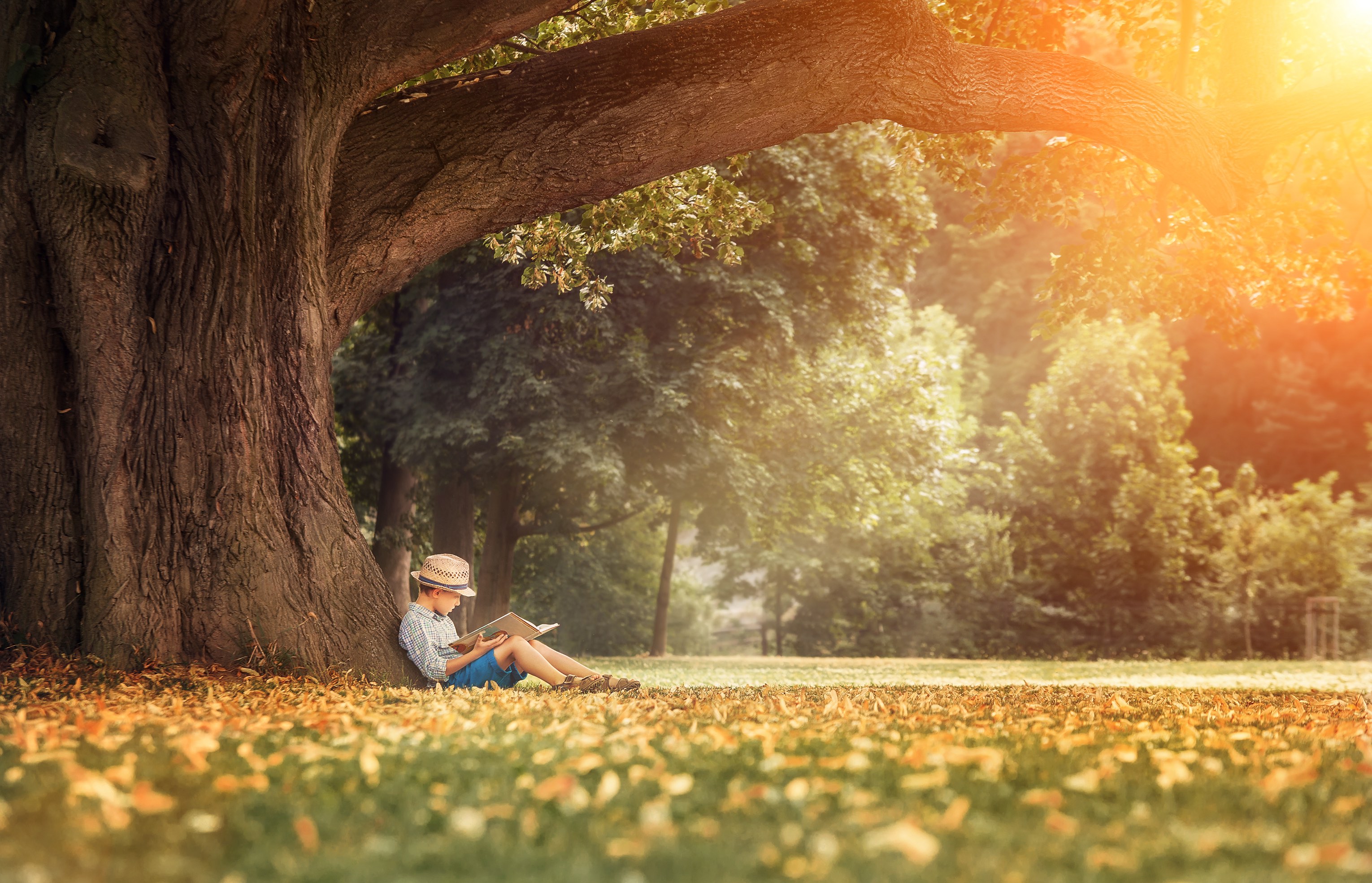 How Teaching Phonics and Fostering an Early Love for Reading Can Guide Kids to Success - Vimarsana News