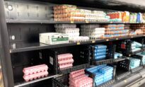 Almost Perfect Storm Reducing Number of Eggs In Grocery Stores