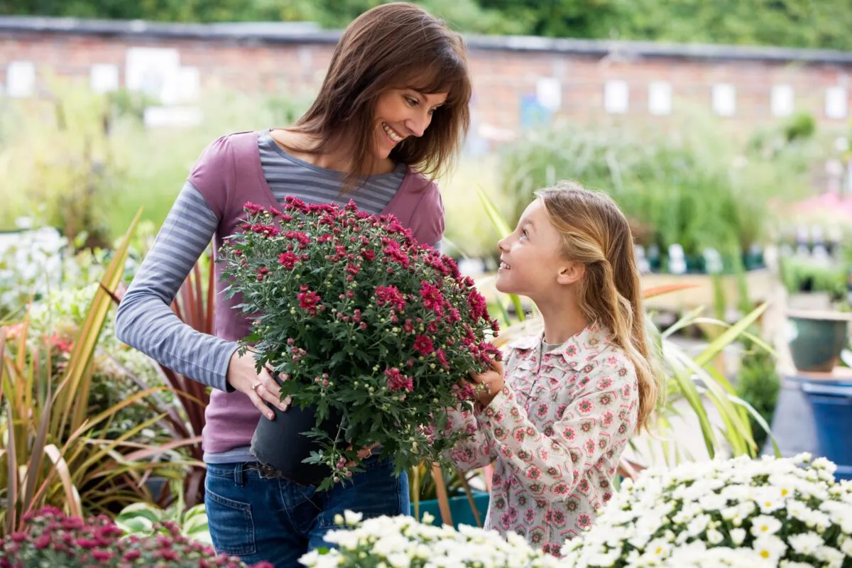 Shopping for plants in stores that specialize in plants is a good way to get advice, so you can find plants that will thrive in your yard. (Juice Flair/Shutterstock)