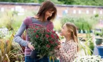 Where to Buy Plants and Moving Bulbs