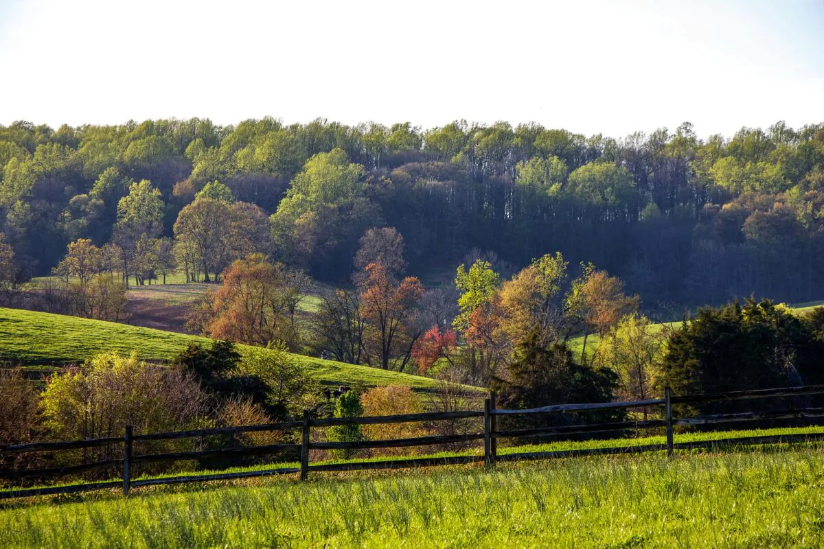 Virginia farmland. (Image by Dennis F Larsen/pixabay)
