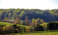 Virginia Sued Over Law That Allows Violation of Ranchers’ Property Rights