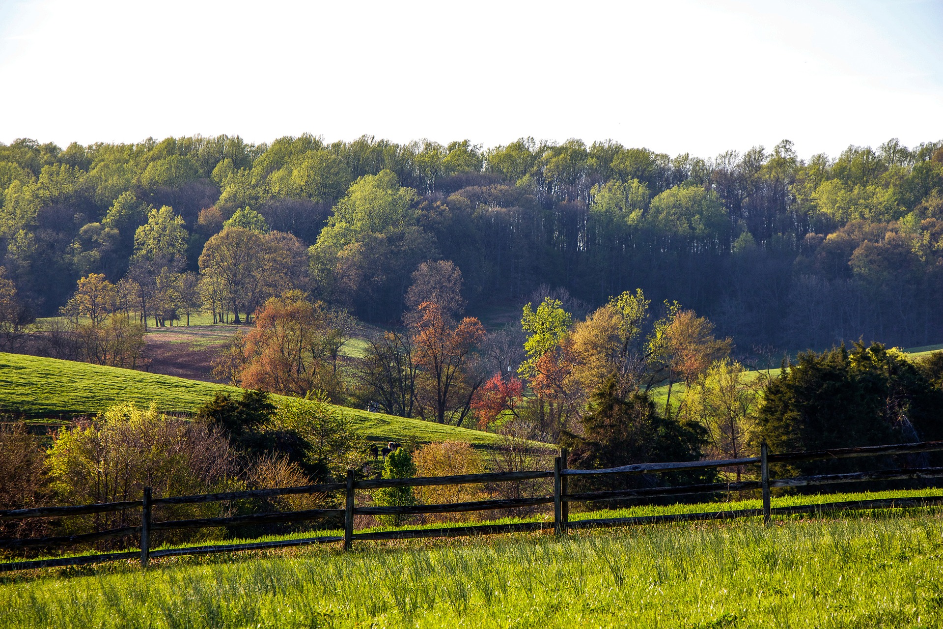 Virginia Sued Over Law That Allows Violation of Ranchers' Property Rights - Vimarsana News