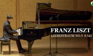 Franz Liszt, Liebestraum No. 3 S. 541 | Enrico Sieber | Musical Moments