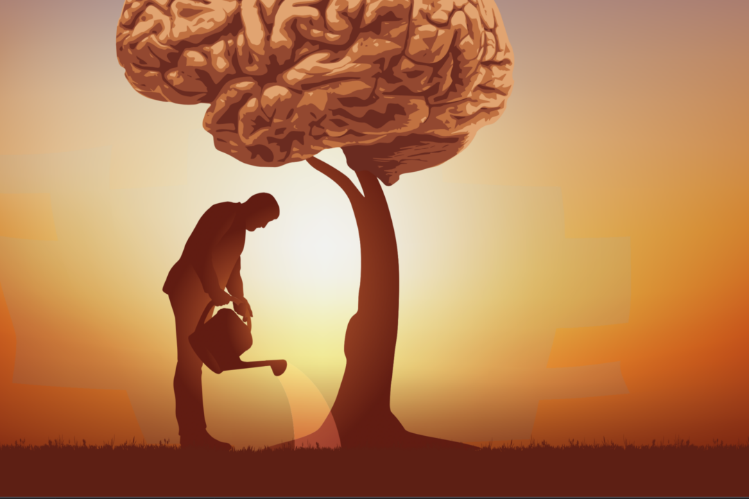 Brain Fog May Be Treated by Healing the Gut